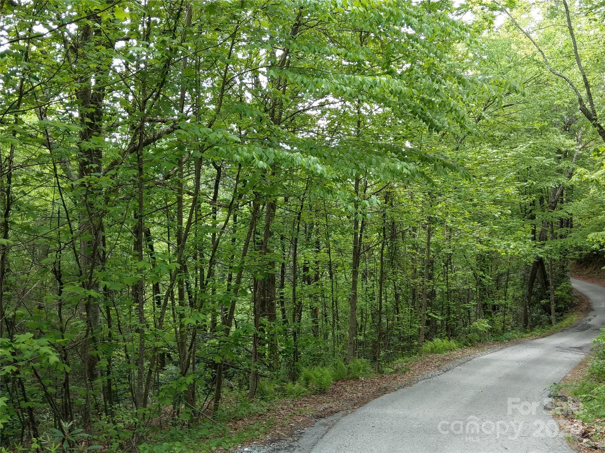 Lot D2 000 Dogwood Lane