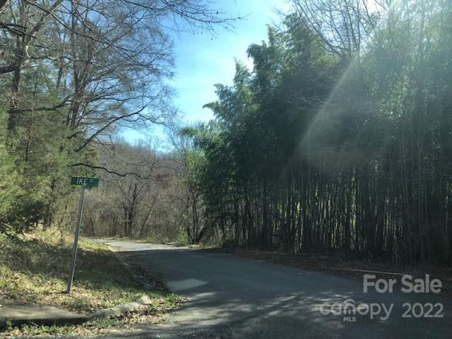 Price Improvement! This Wooded 3.80 acres of land is located in Chester SC. Land consist of a small stream/creek which is located adjacent to the land with beautiful Bamboo trees. Land is located in Murray Springs. Water and sewer is available and will require installation. Also, utilities access is available as well. This 3.80 ACRES of land has great potentials for buyers who are looking to build a single family home and are looking for additional land for gardening or your very own nature trail. Also, this land will provide INVESTORS with an opportunity to build multiple single family home or condo/townhouse or modular. Land Sold As Is.