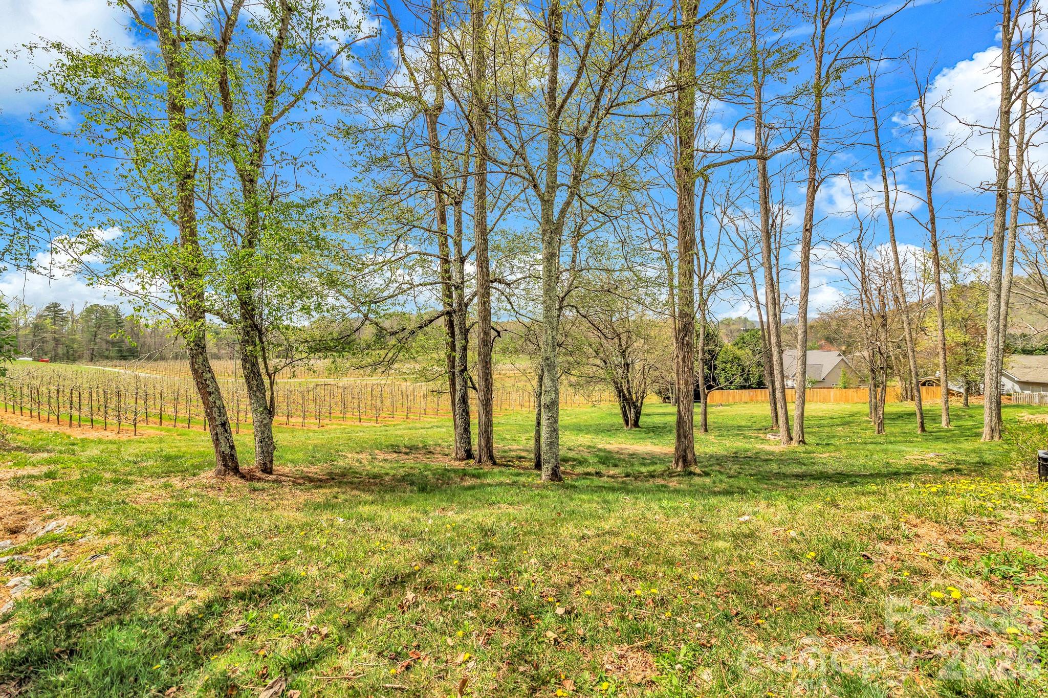 Lone Laurel - Residential
