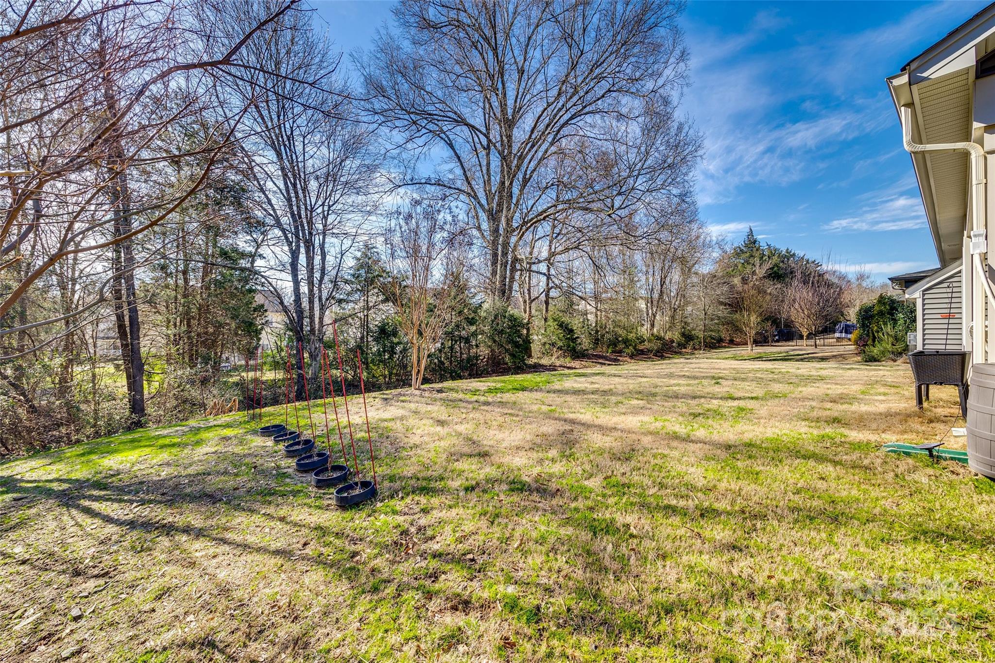 Kings Grove - Residential