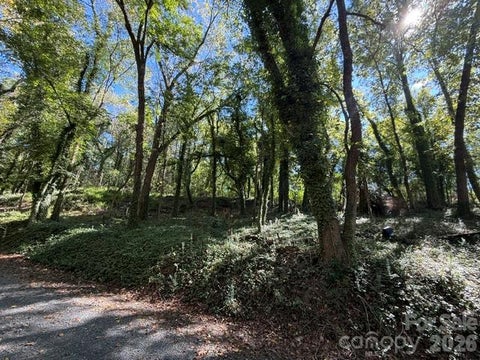Photo of 245 Dunlap Street, Albemarle, NC 28001 (MLS # 4432010)