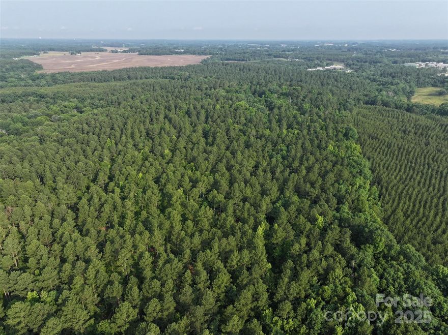 Discover a rare opportunity in Union and Anson counties to own 260 acres of pristine land with miles of frontage on scenic Lanes Creek, perfectly positioned along HWY 74 and just 10 minutes from the Monroe Expressway. This expansive property is a haven for nature lovers, outdoor enthusiasts, and visionary developers alike. In addition, it has extensive trails that are ideal for hiking, ATV riding, horseback riding and hunting. Lanes Creek offers a peaceful escape and awesome fishing. Professionally managed for many years as a great timber investment.Gently rolling topography with several ideal home sites to choose from. Positioned only 3 hours from NC mountains and NC/SC beaches. Whether you're looking to create a private retreat, a hunting and camping escape, or a future development site, this land offers unmatched potential in a peaceful yet accessible location.