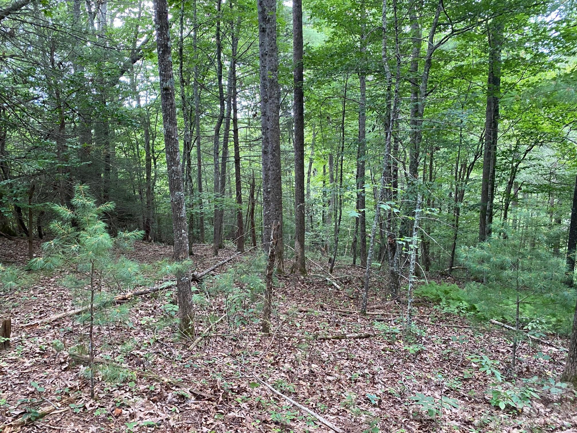 192 Pine Cone Trail 21