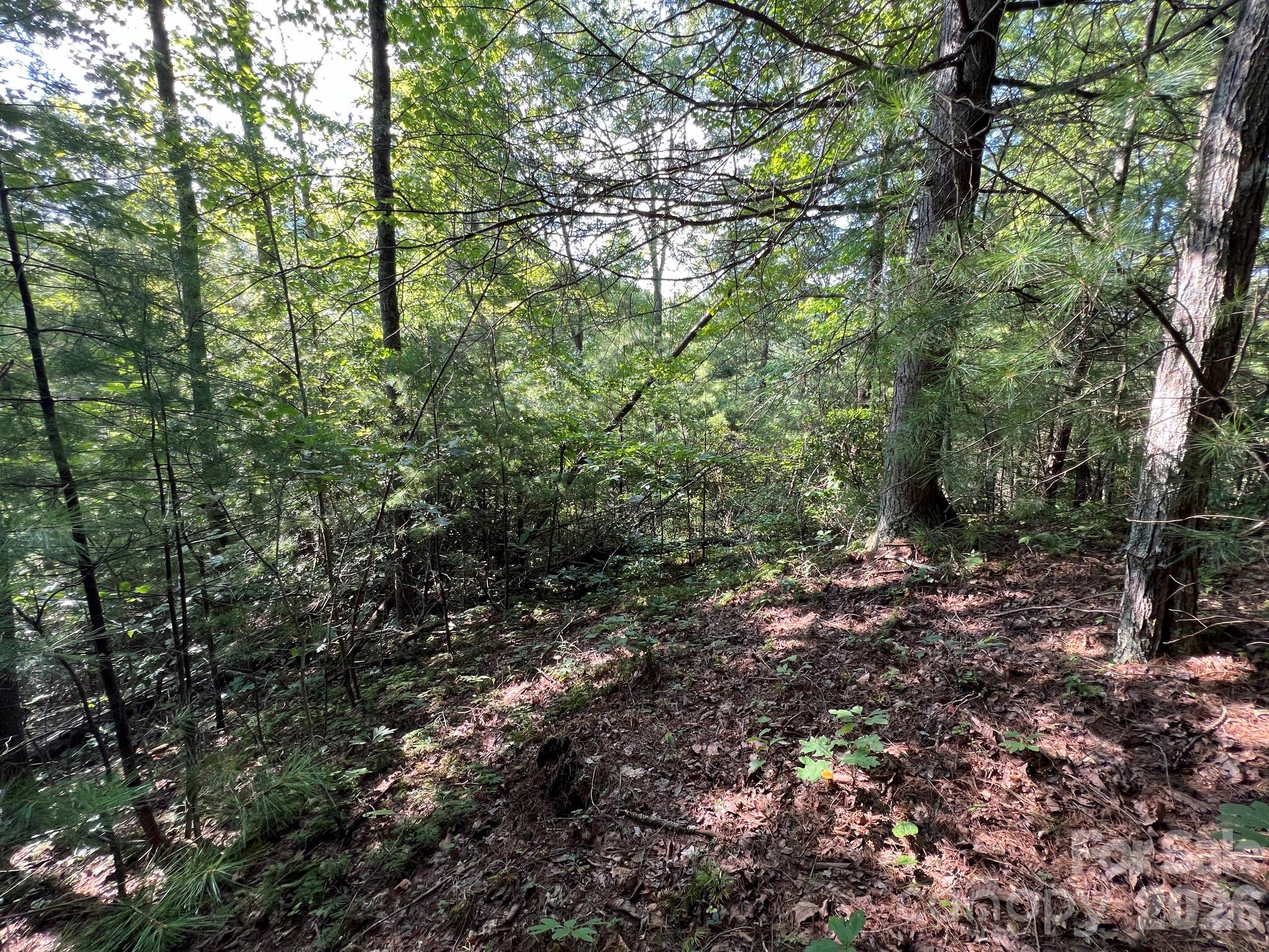192 Pine Cone Trail 21