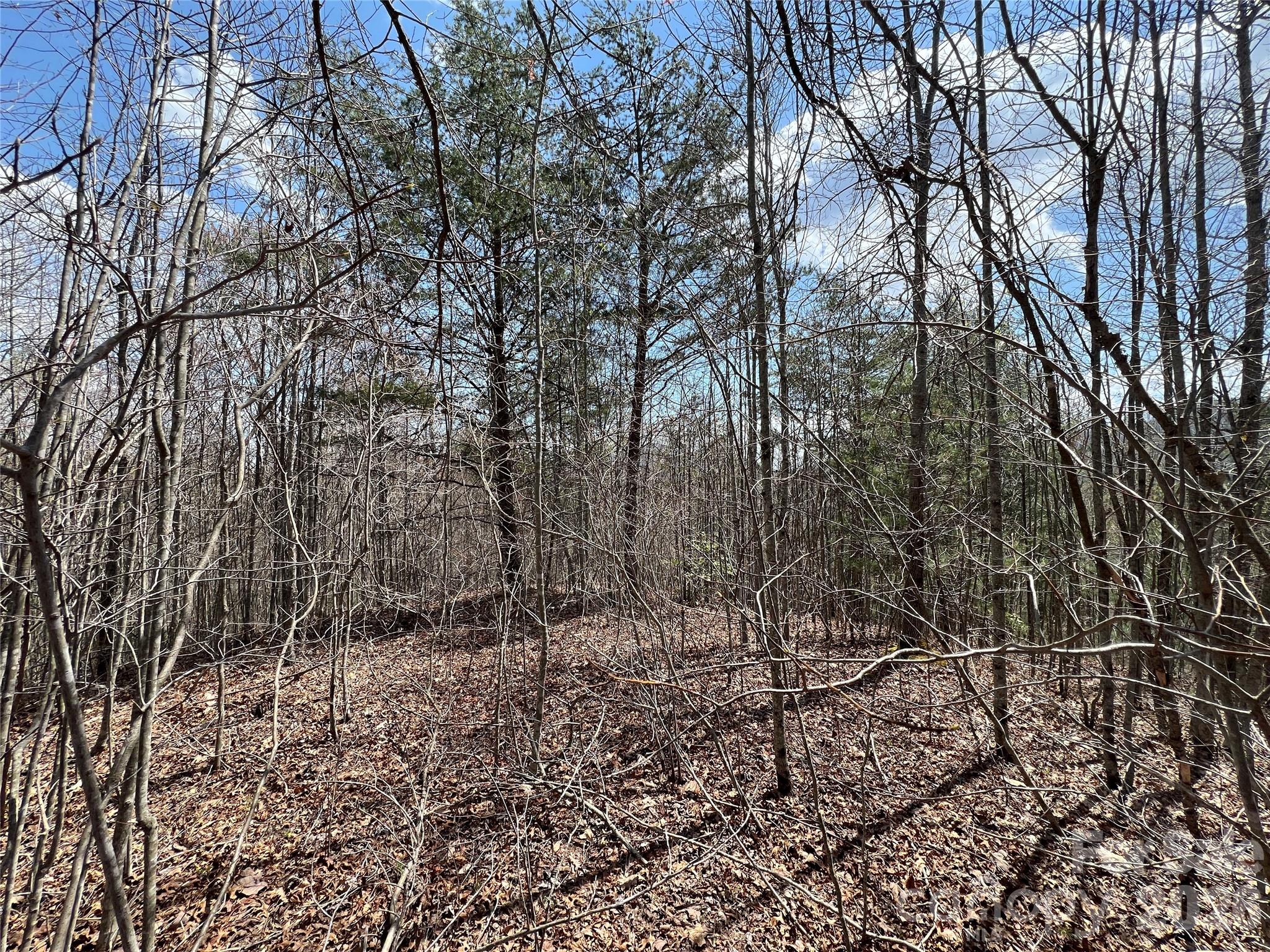 192 Pine Cone Trail 21