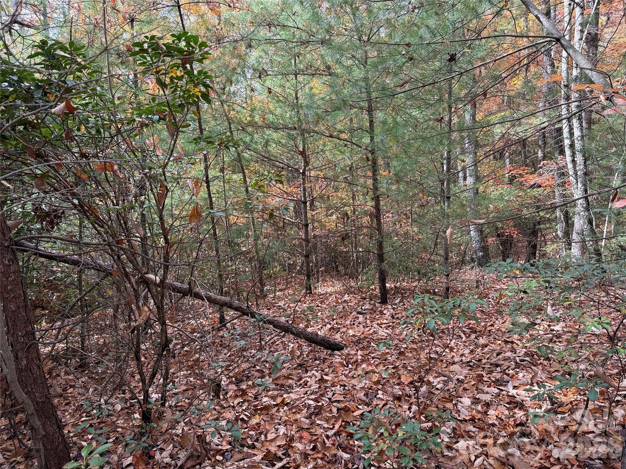 Buck Mountain - Land