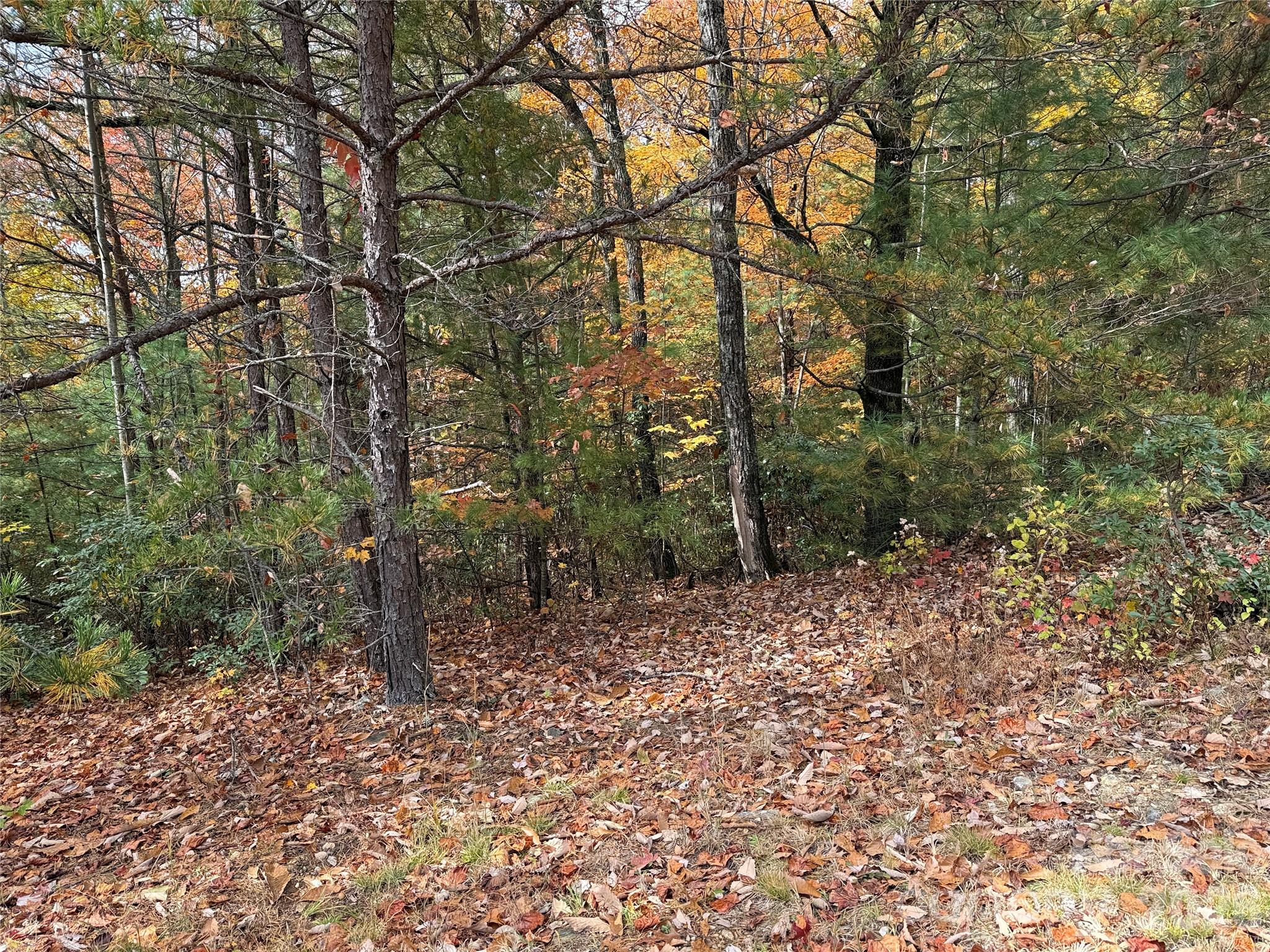 Buck Mountain - Land