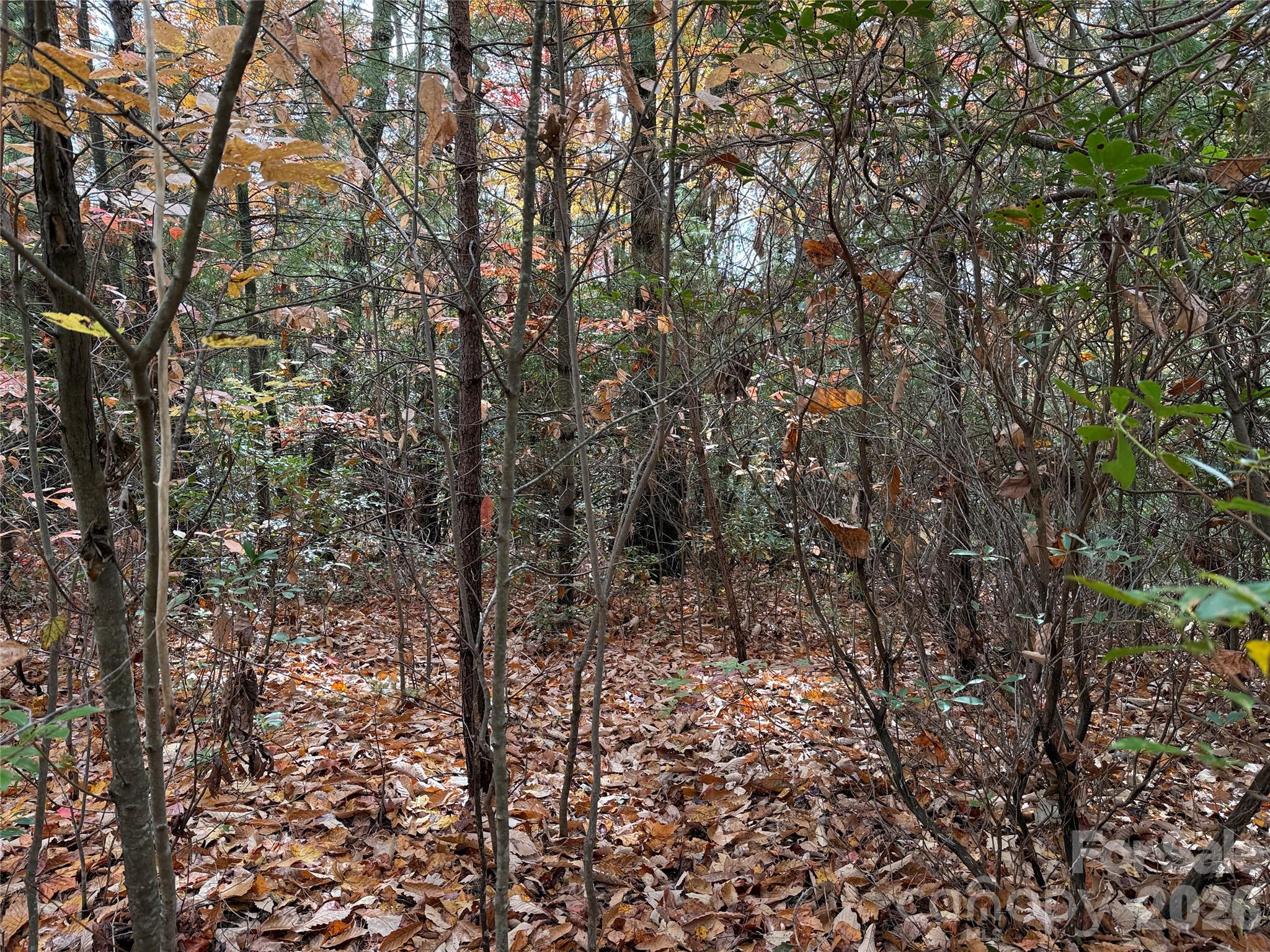 Buck Mountain - Land