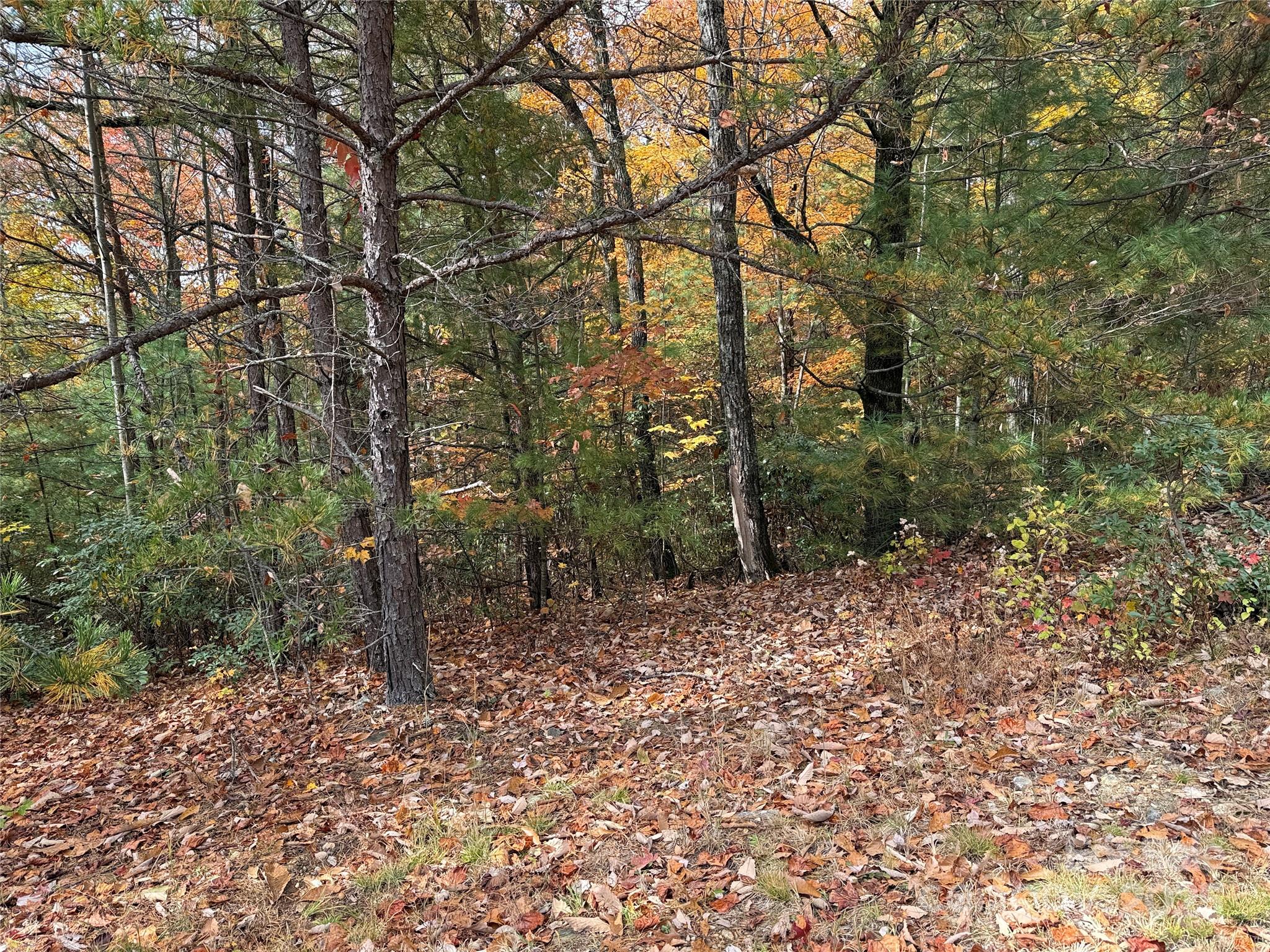 TBD Casey Mountain Road 209