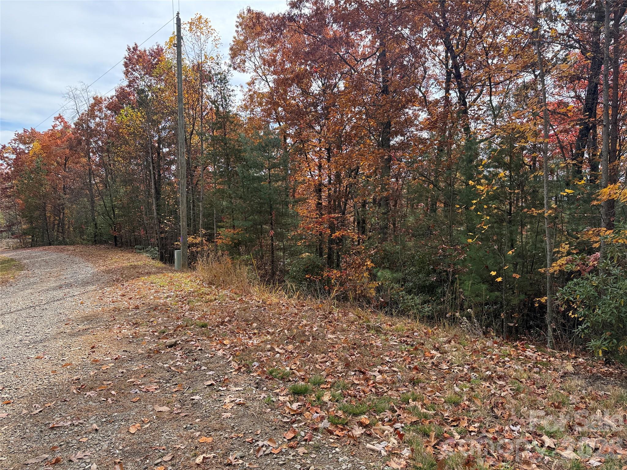 Buck Mountain - Land