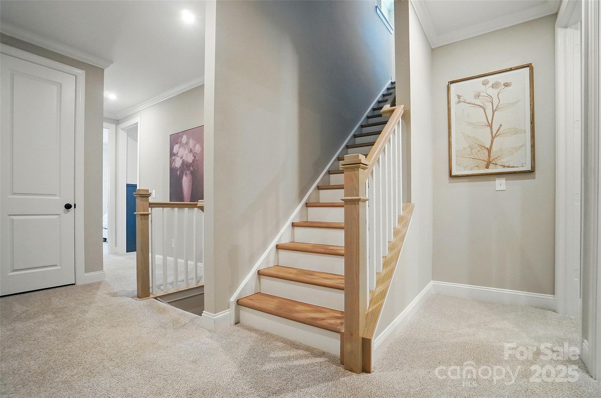 Townes At Wade Ardrey - Residential