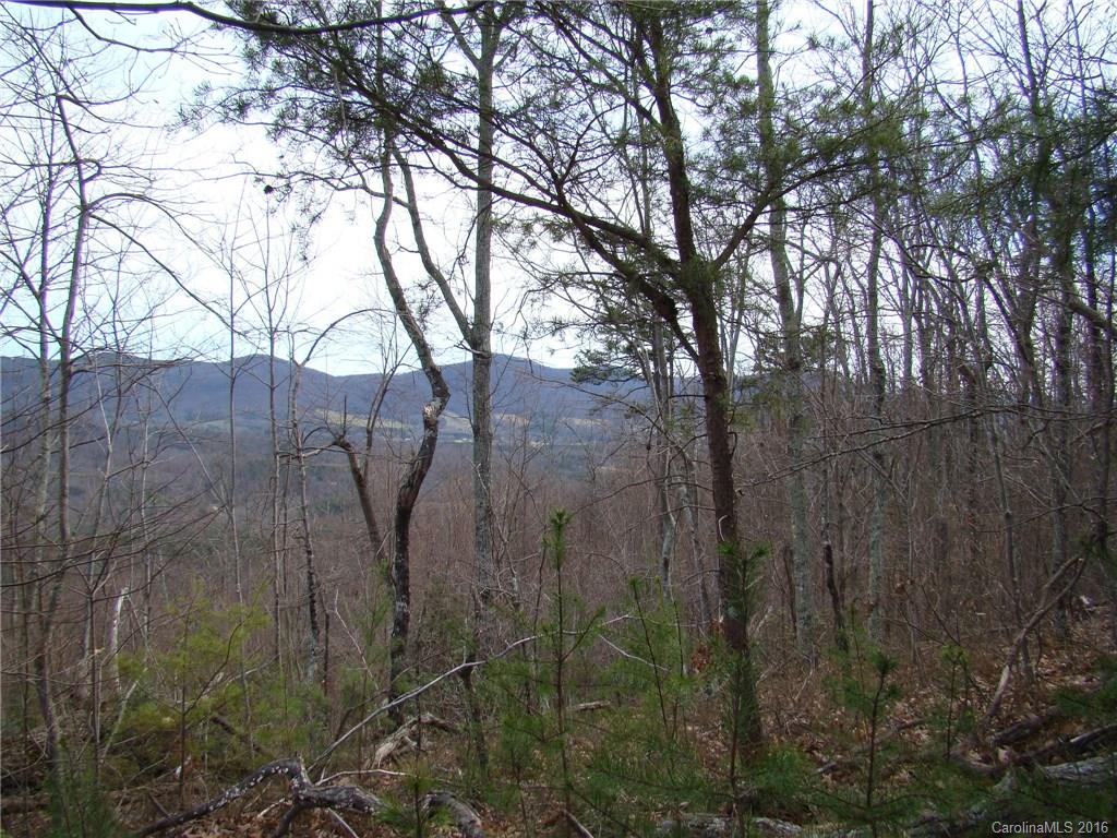 Yellowtop Mountain Estates - Land