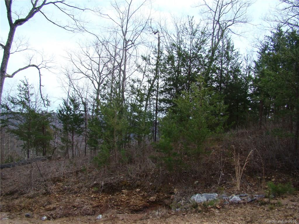 Yellowtop Mountain Estates - Land