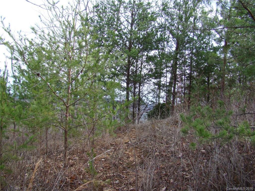 Yellowtop Mountain Estates - Land