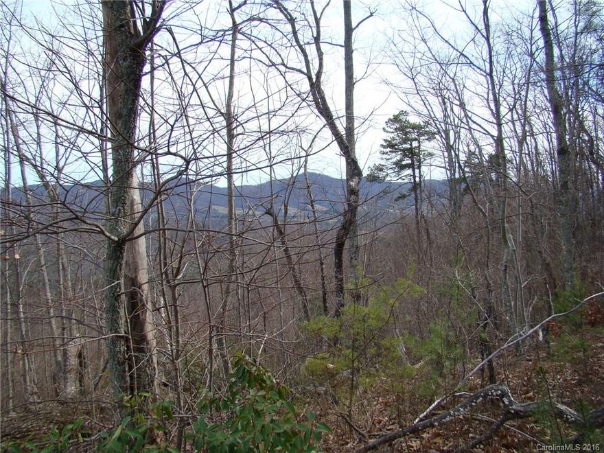 Here's your chance to own a couple of acres of mountain property in Yellowtop Mountain Estates. This view is toward the west and it's huge. It's a great place to build your log home retreat and the contours protect your view-shed. It invites a home with a basement. Utilities are underground in this section of Yellowtop and all roads are paved. Low POA dues make this an affordable, buy now, build later prospect. Deed restrictions impose no time frames on building. Come see it!