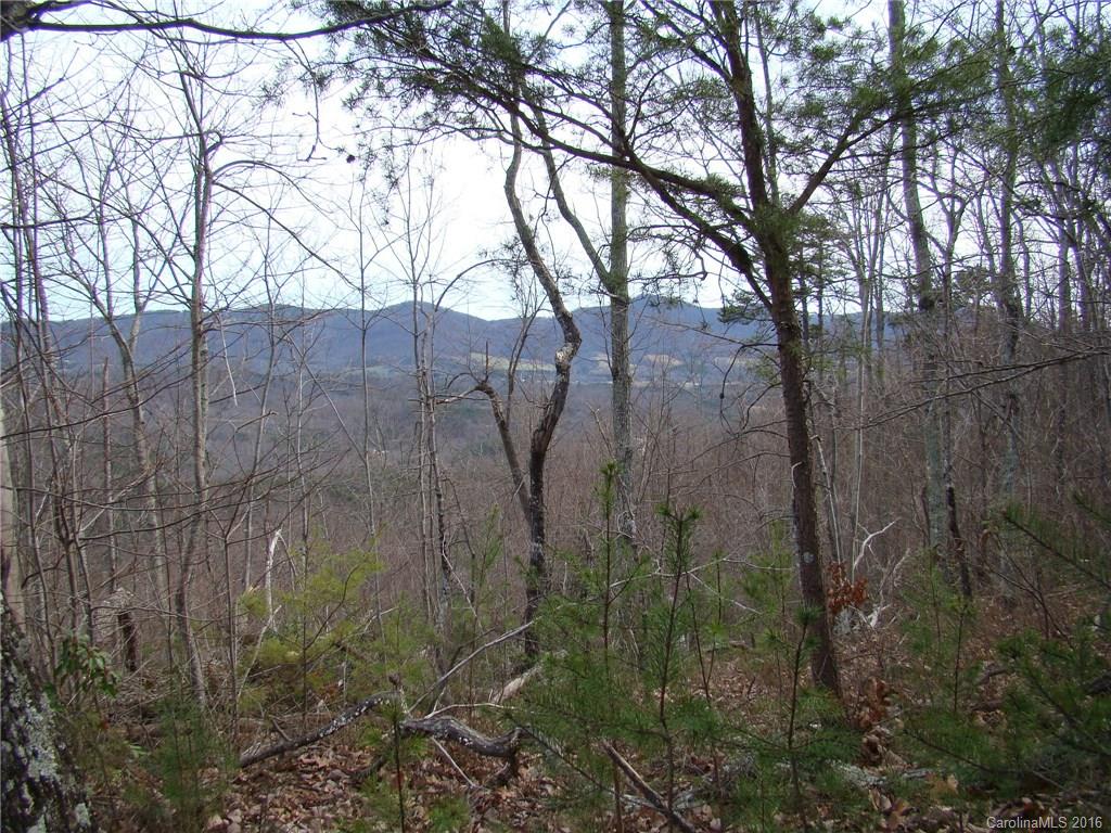 Yellowtop Mountain Estates - Land