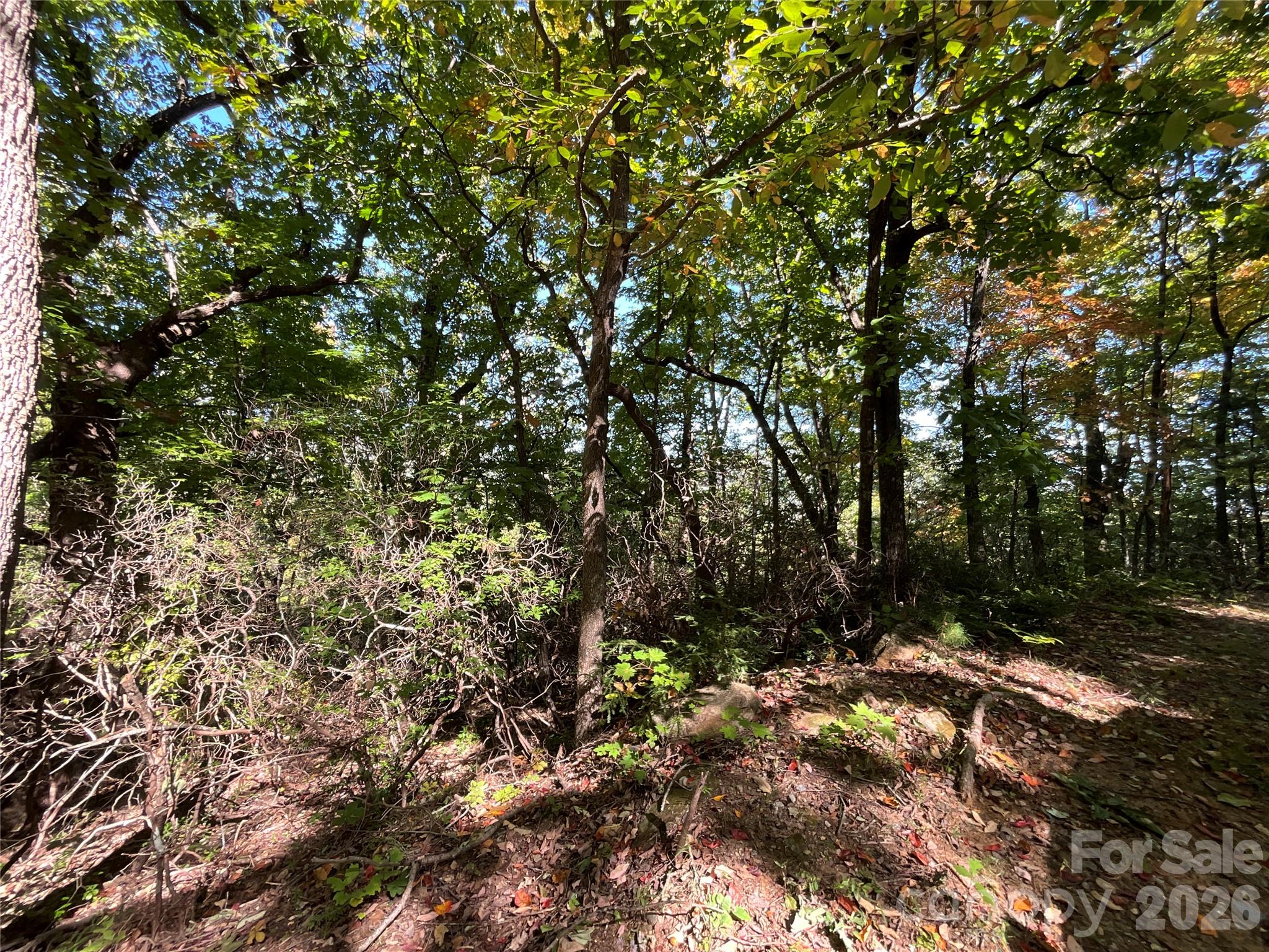 Lot 88 Bolt Road