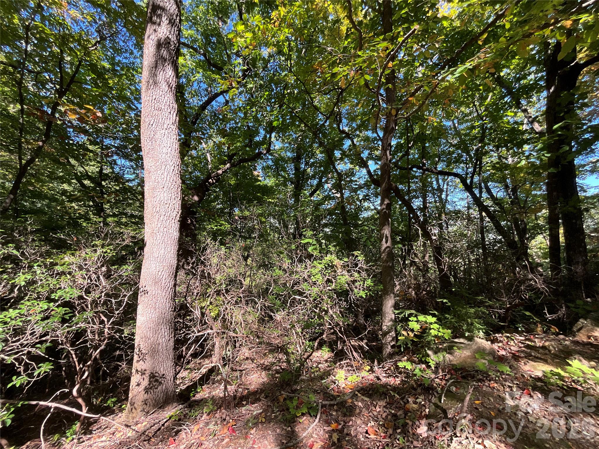 Lot 88 Bolt Road
