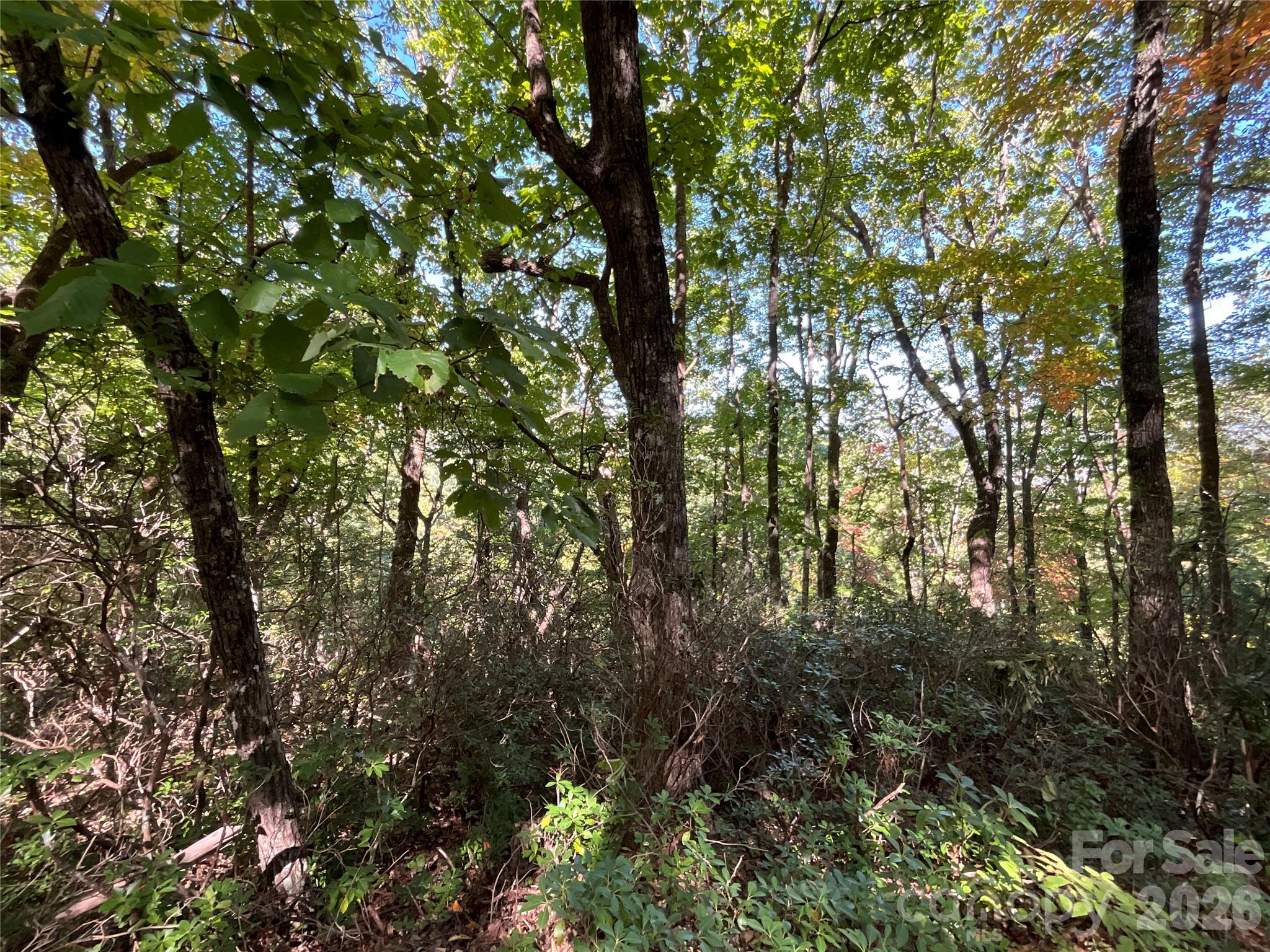 Lot 88 Bolt Road