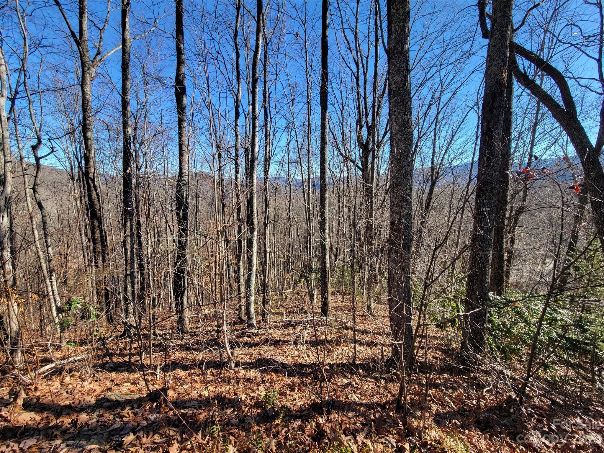 Mountain Watch - Land