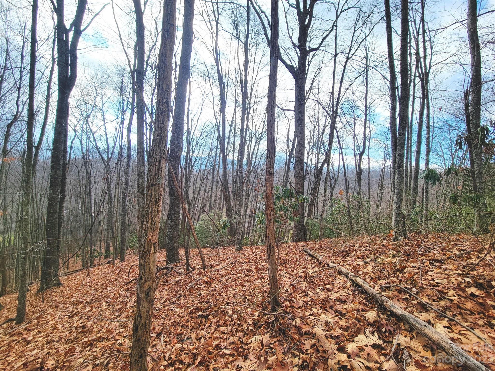 Mountain Watch - Land