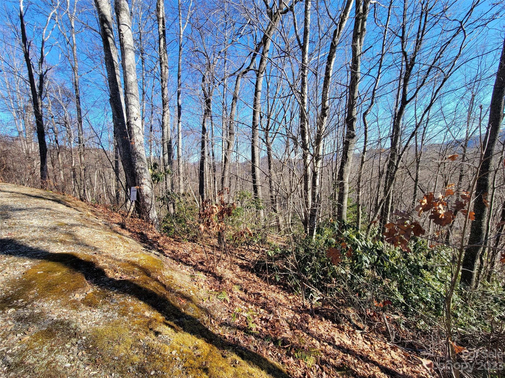 Mountain Watch - Land