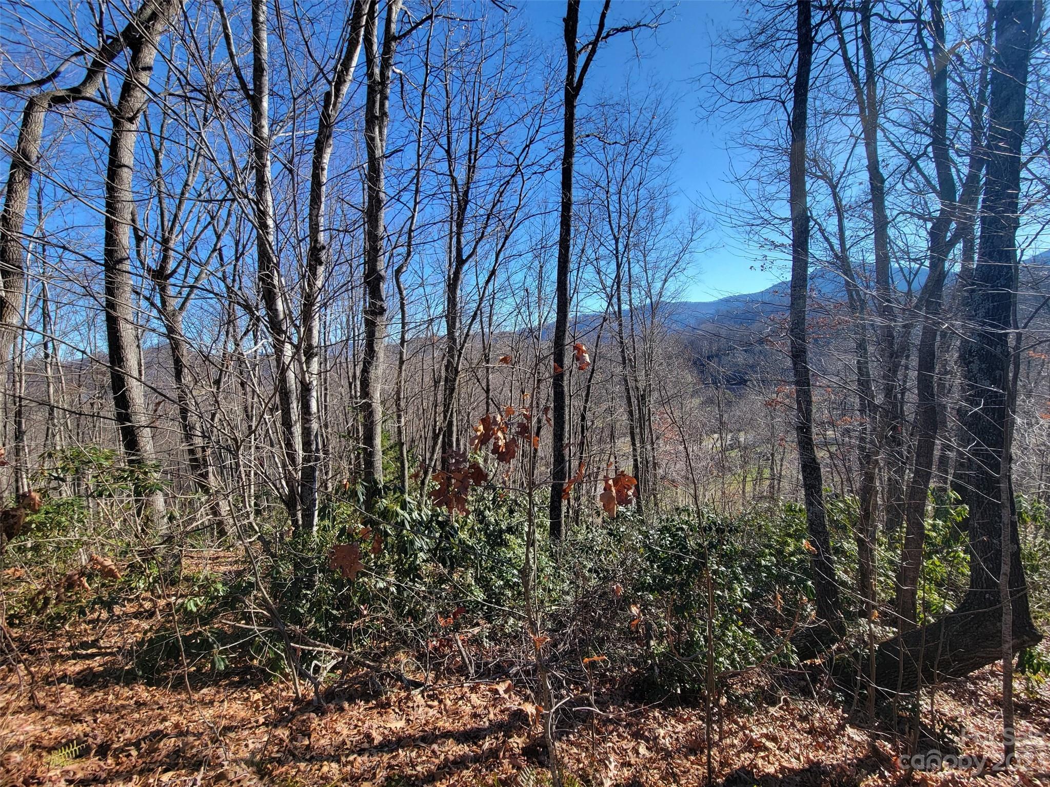 Mountain Watch - Land