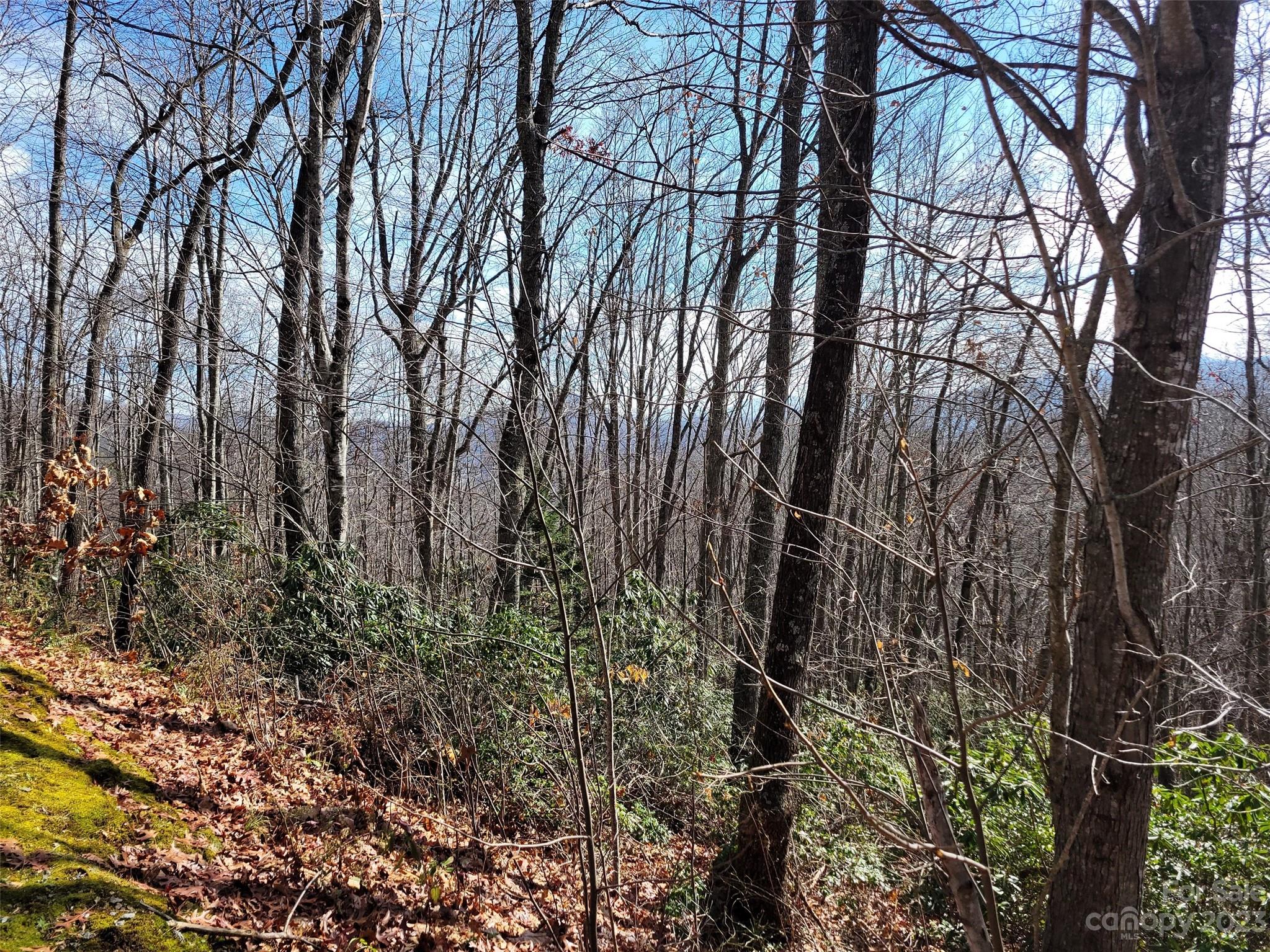 Mountain Watch - Land