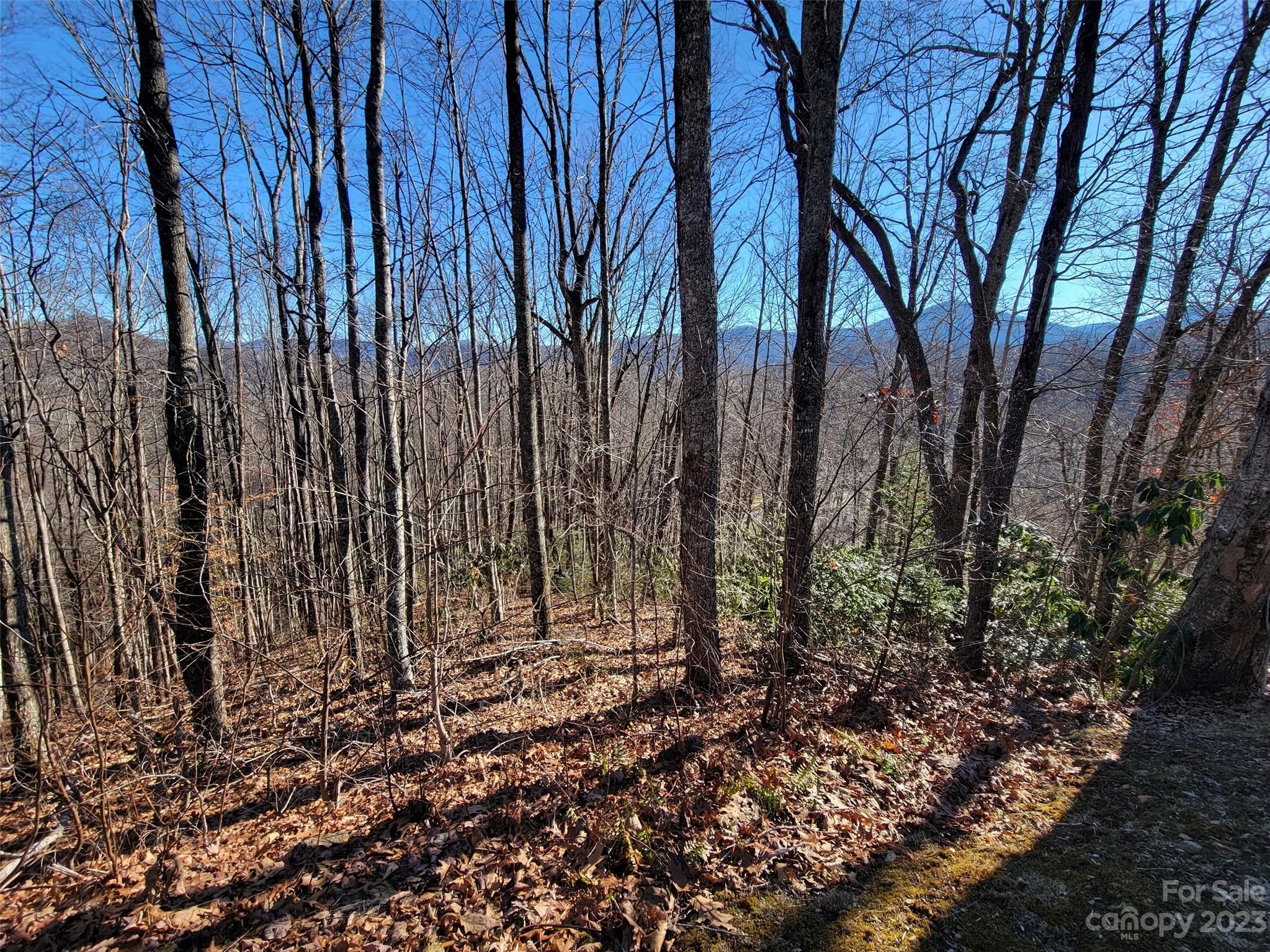 Mountain Watch - Land