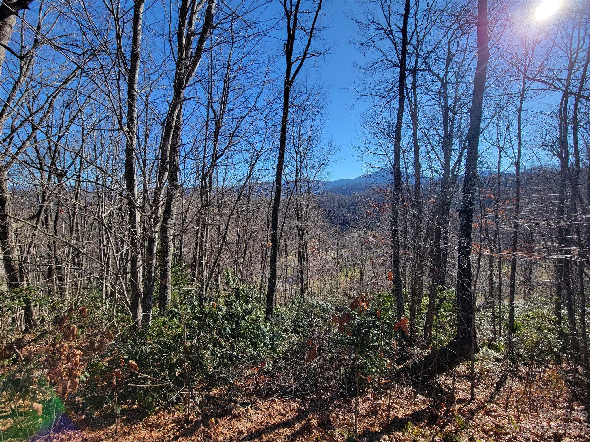 Mountain Watch - Land