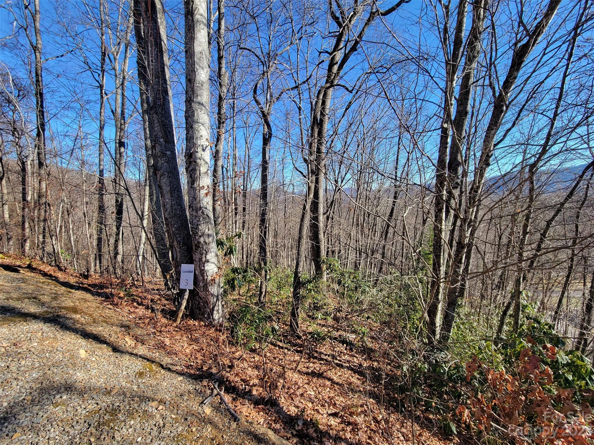 Mountain Watch - Land