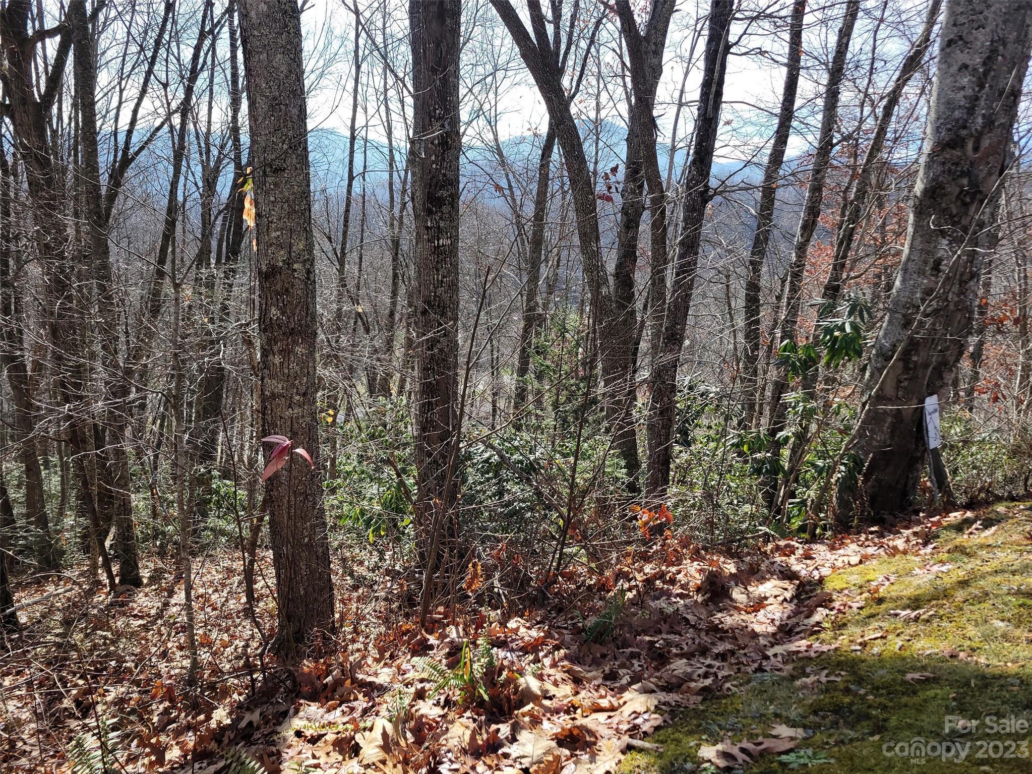 Mountain Watch - Land