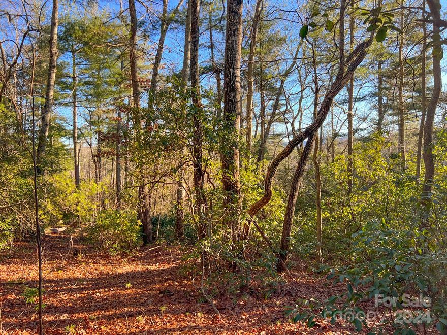 Offering a +/- 5.5 acre portion of Hendersonville's last large developable tract of land. This tract will be accessed directly off of Willow Road. City water is available to the property along with high-speed internet and power. City sewer is not readily available. The vast majority of the land allows for either easy-to-build walkout basements or crawl space homes. The northeast portion of the property lies around 2,300 feet in elevation; these home sites offer a long-range southern view of Pinnacle Mountain. This particular portion of land is located in the Town of Laural Park's ETJ R-20 zoning district. Other than zoning restrictions, there are no covenants or deed restrictions on the land. This proposed tract of land is approximately a +/- 5.5-acre portion of a larger +/- 41-acre parcel of land (Henderson County PIN 9558-82-8731).