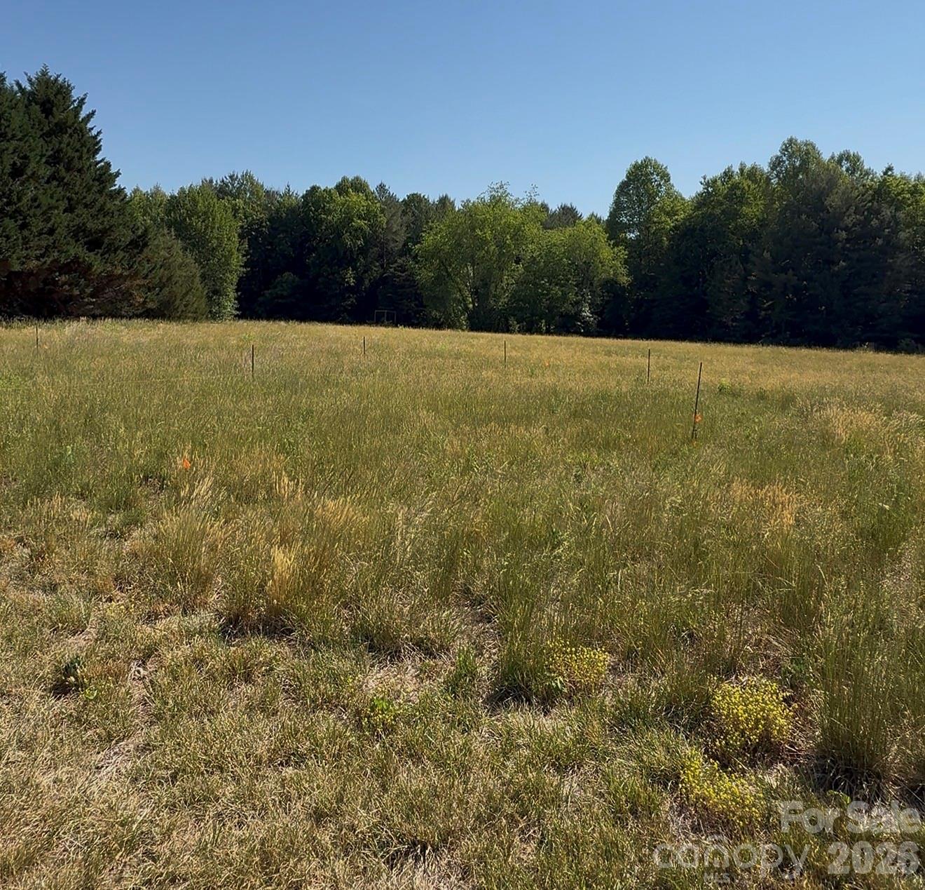 Moser Home Place Estates - Land
