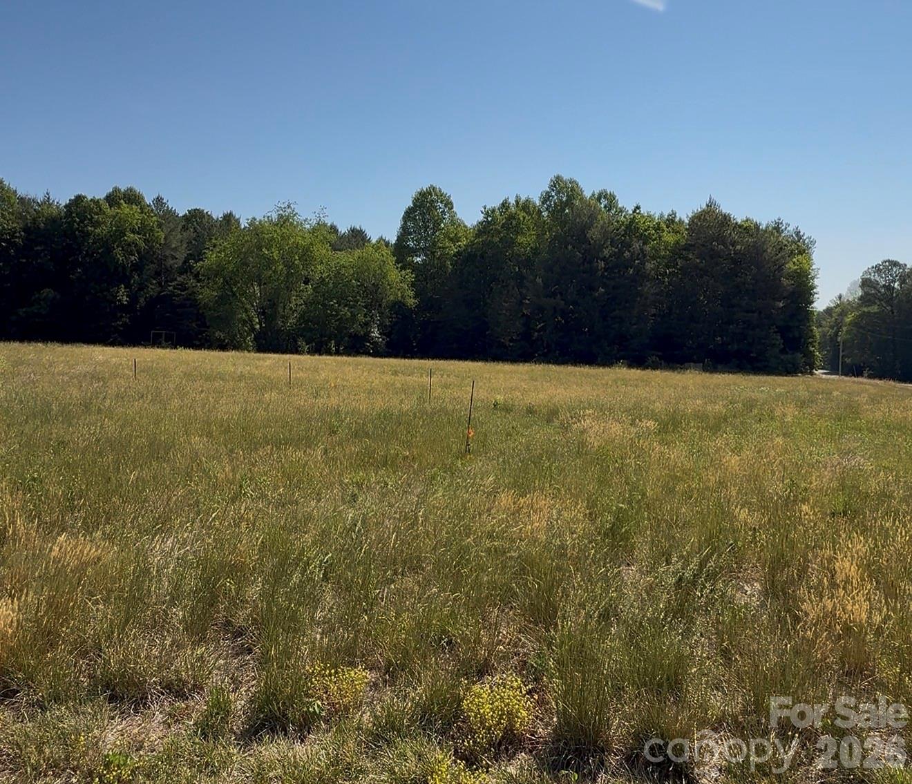 Moser Home Place Estates - Land