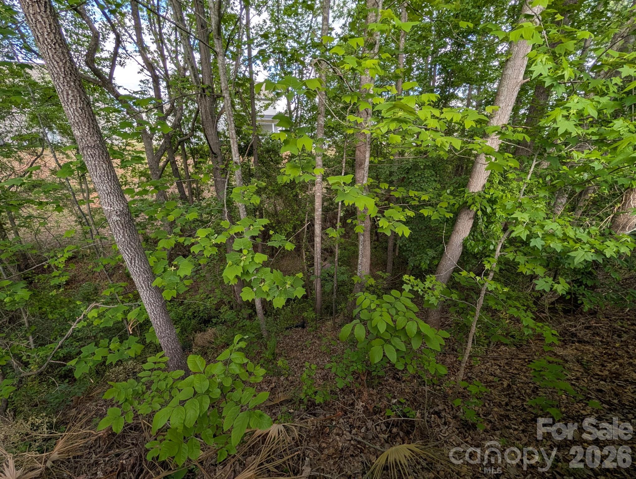 Clover Meadows - Residential
