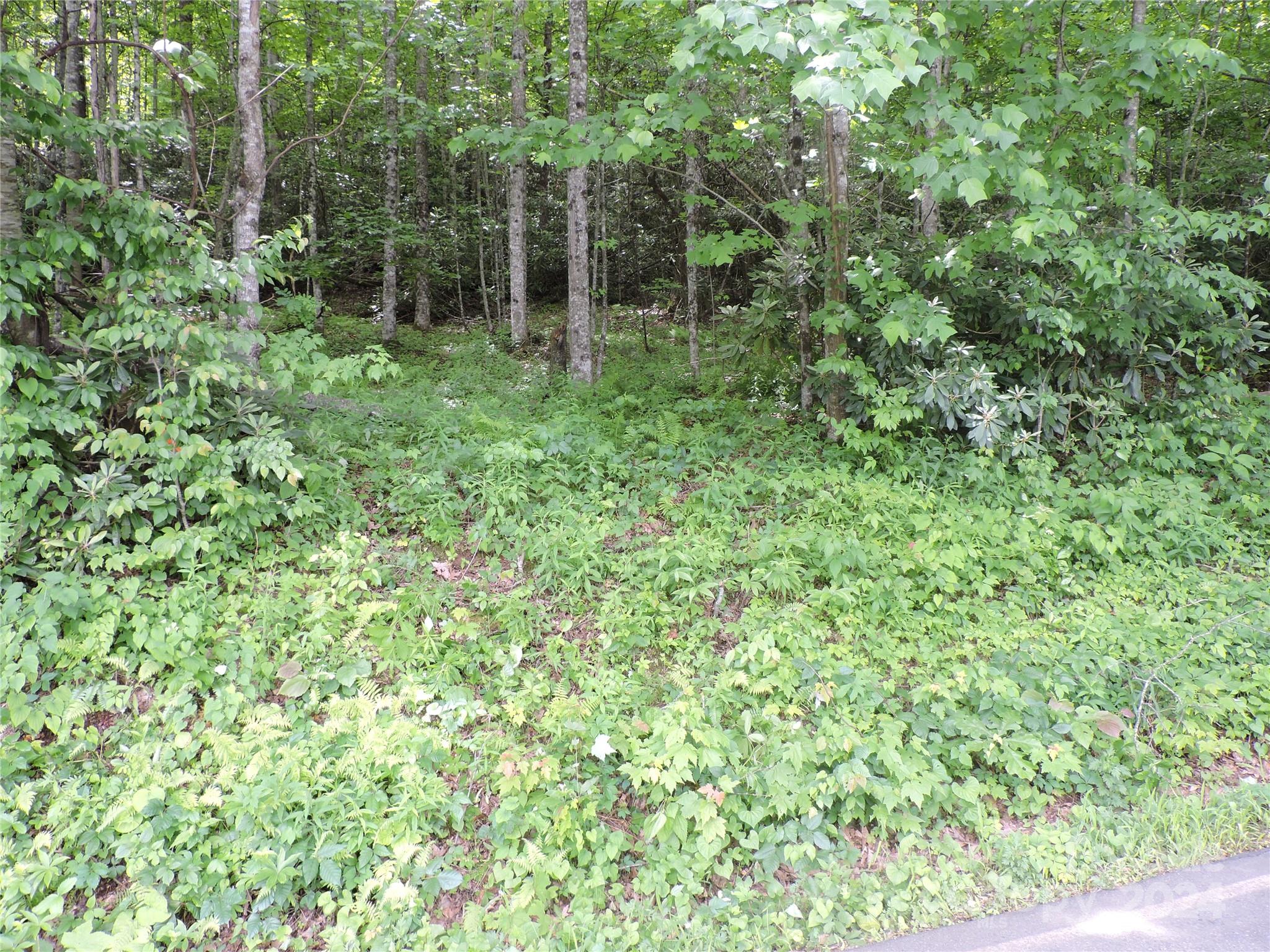 00 South Toe River Road lot 3