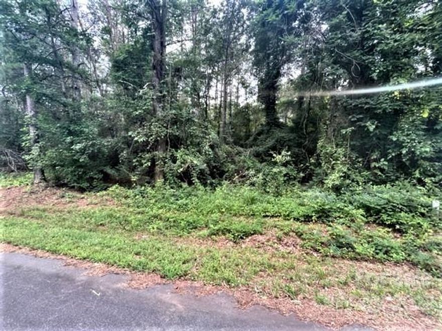 Very nice, level building lot with beautiful mature trees. Convenient to downtown Forest City. Lot requires minimal site prep to build. Lot requires septic and has city water. Approximately 16 miles to Tryon International Equestrian. Adjacent lots are also for sale. No HOA fees.