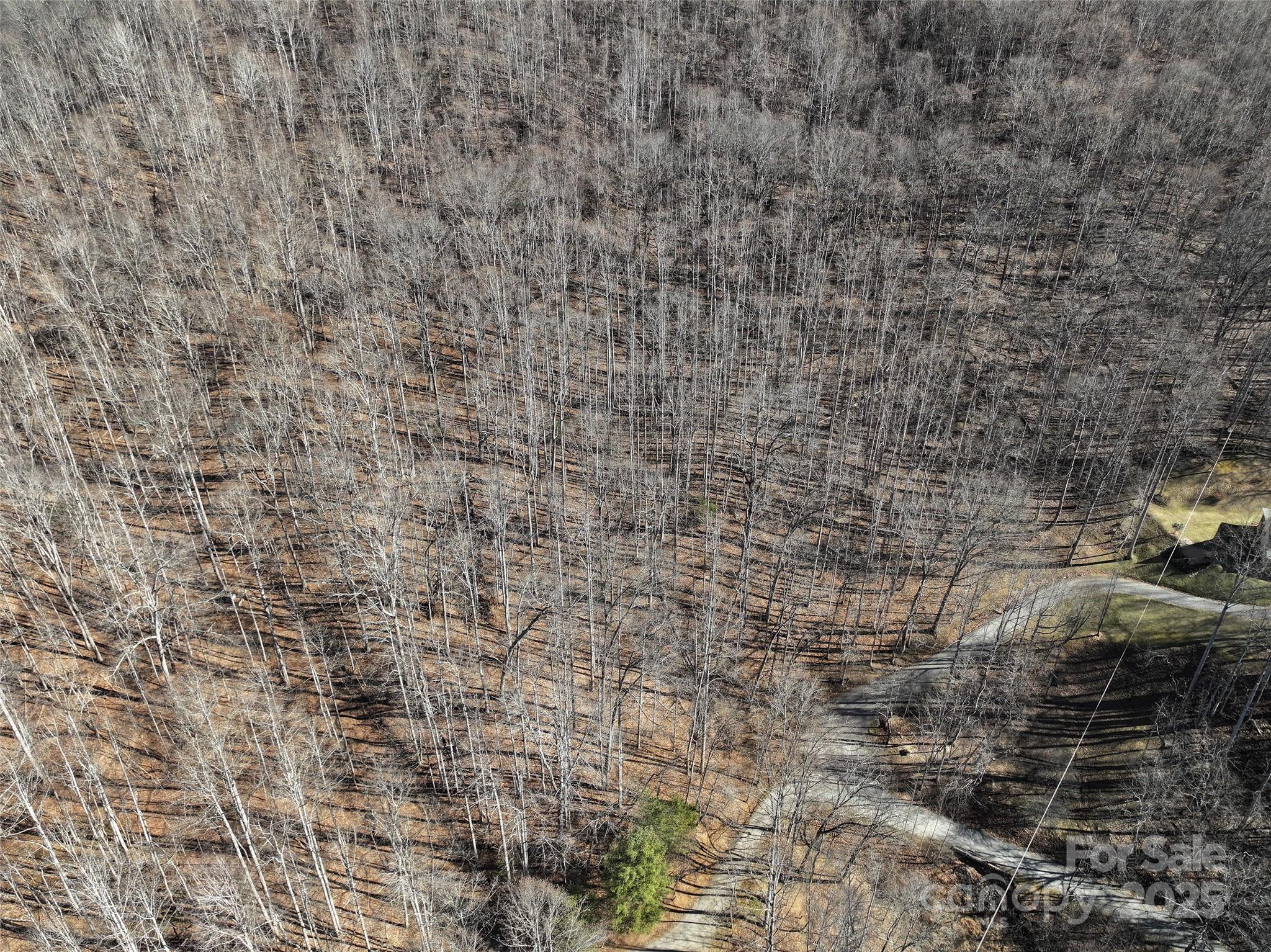 Lot 22 Top Drop Lane