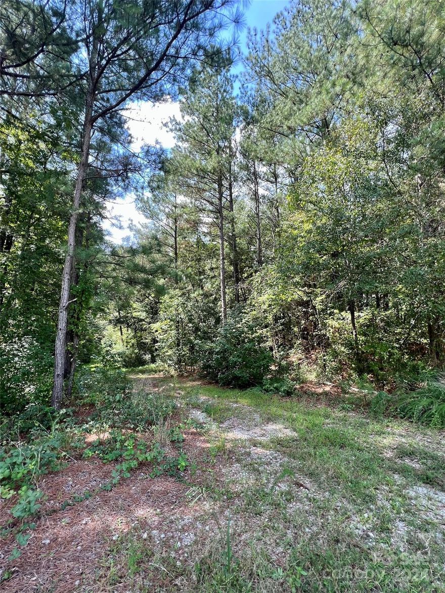 Great opportunity to purchase at a low cost and hold for the future. Developers and Builders, looking for a great affordable lot? Homeowners, thinking of a new home in the future? If so, this lot may be what you are looking for! This in a great location in Lancaster. Just a short drive for shopping, dining and medical facilities. Conveniently located between Charlotte, NC and Columbia, SC.