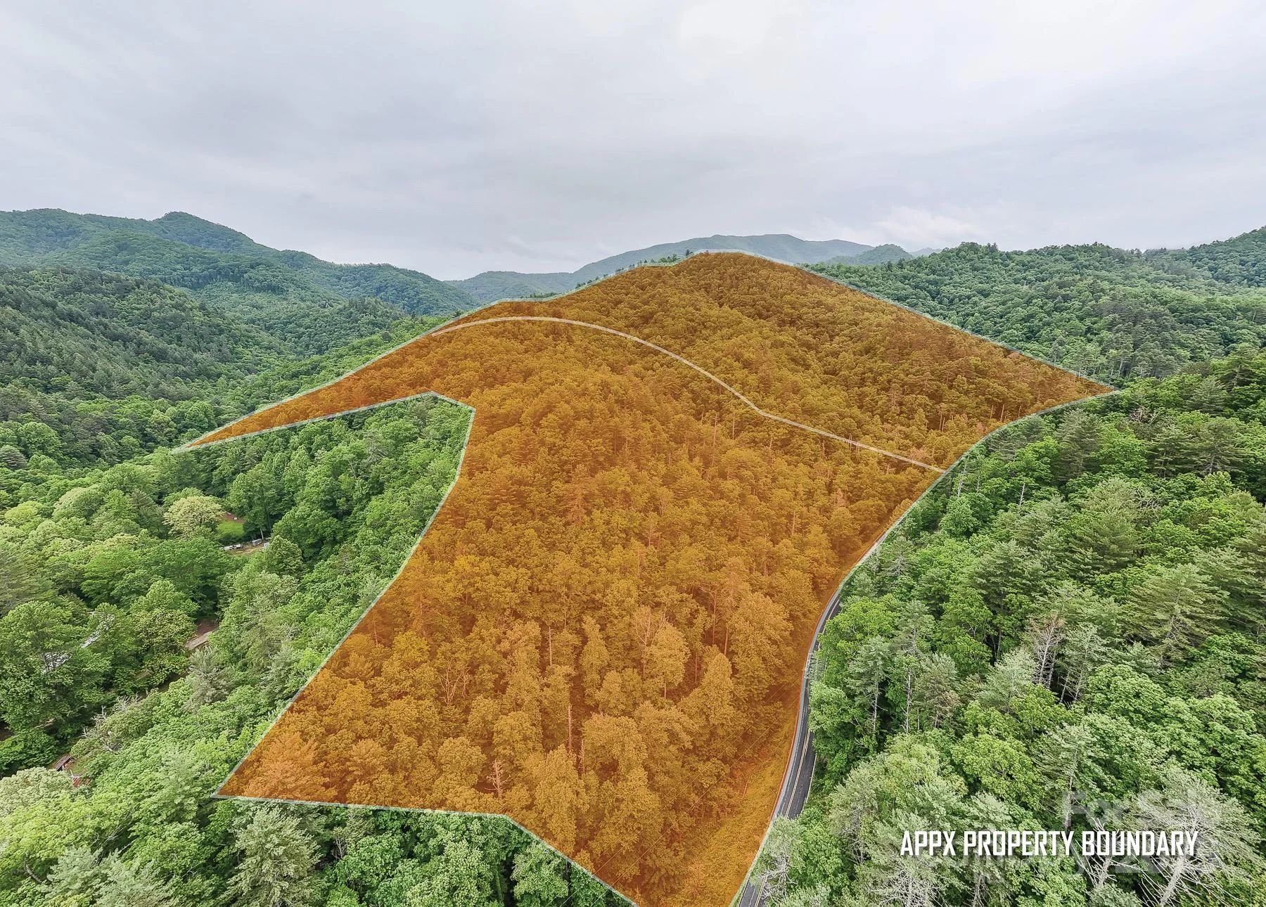 399 Shell Stand Road, Almond, NC, 28702