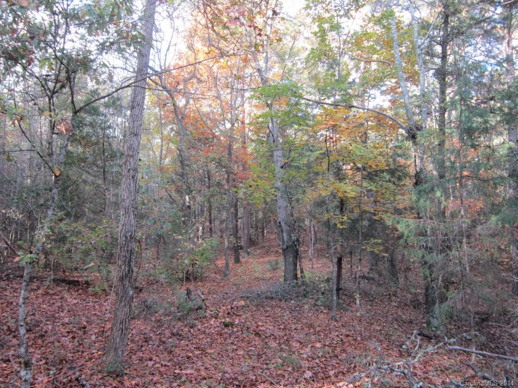 Forest Brook Estates - Residential