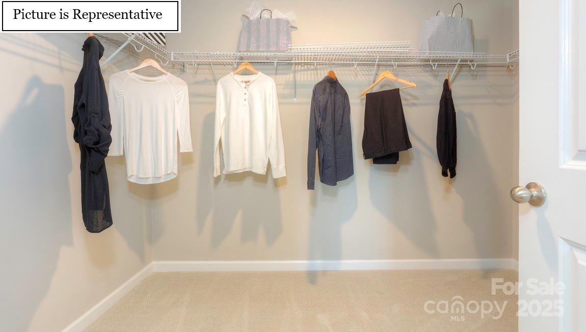 Oak Grove Hill - Residential