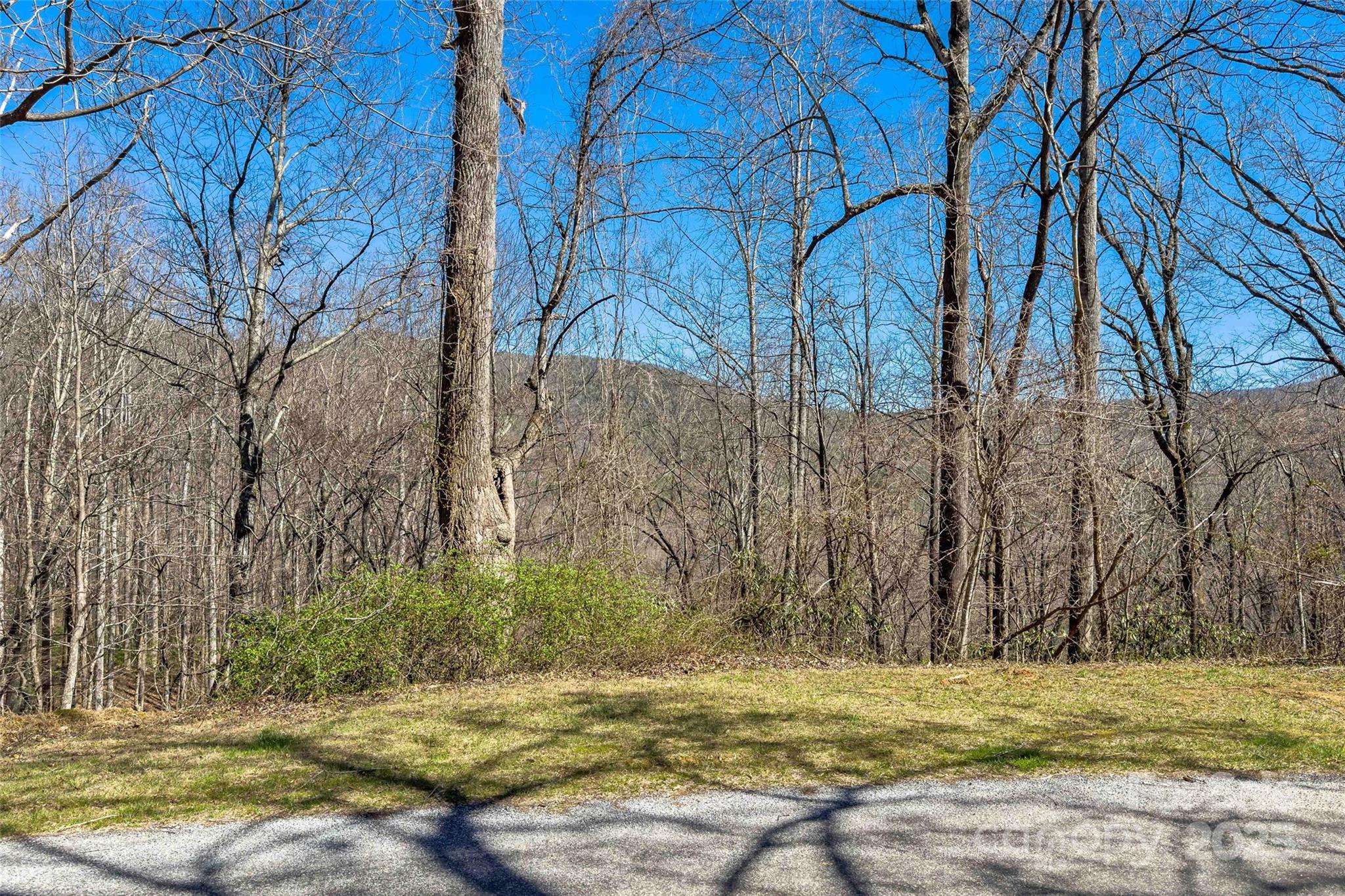 Lot# 158 Hunnicut Mountain Road