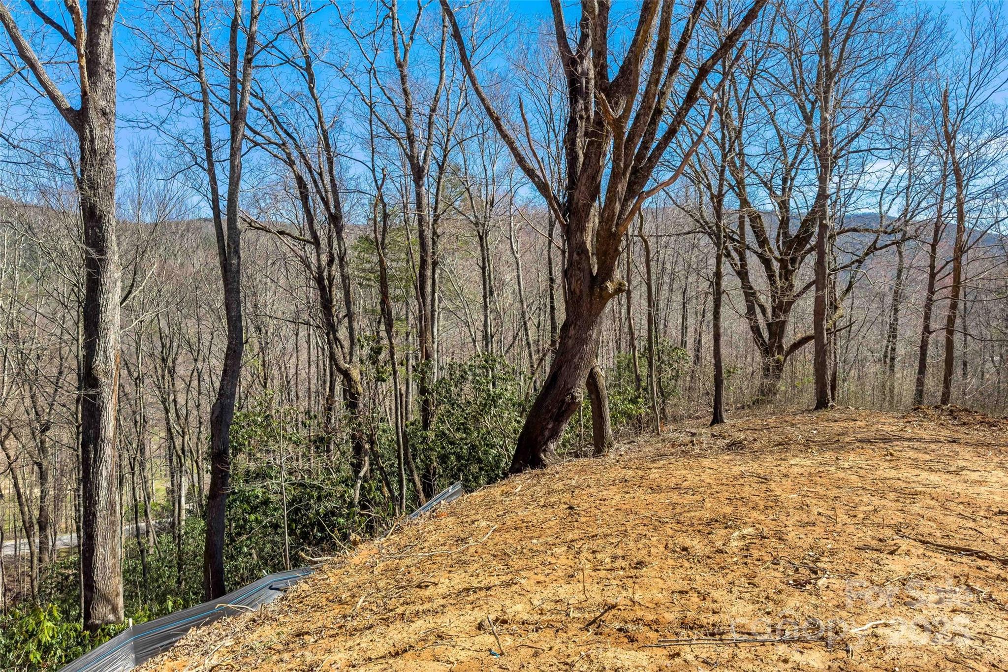 Linville Falls Mountain Club and Preserve - Land