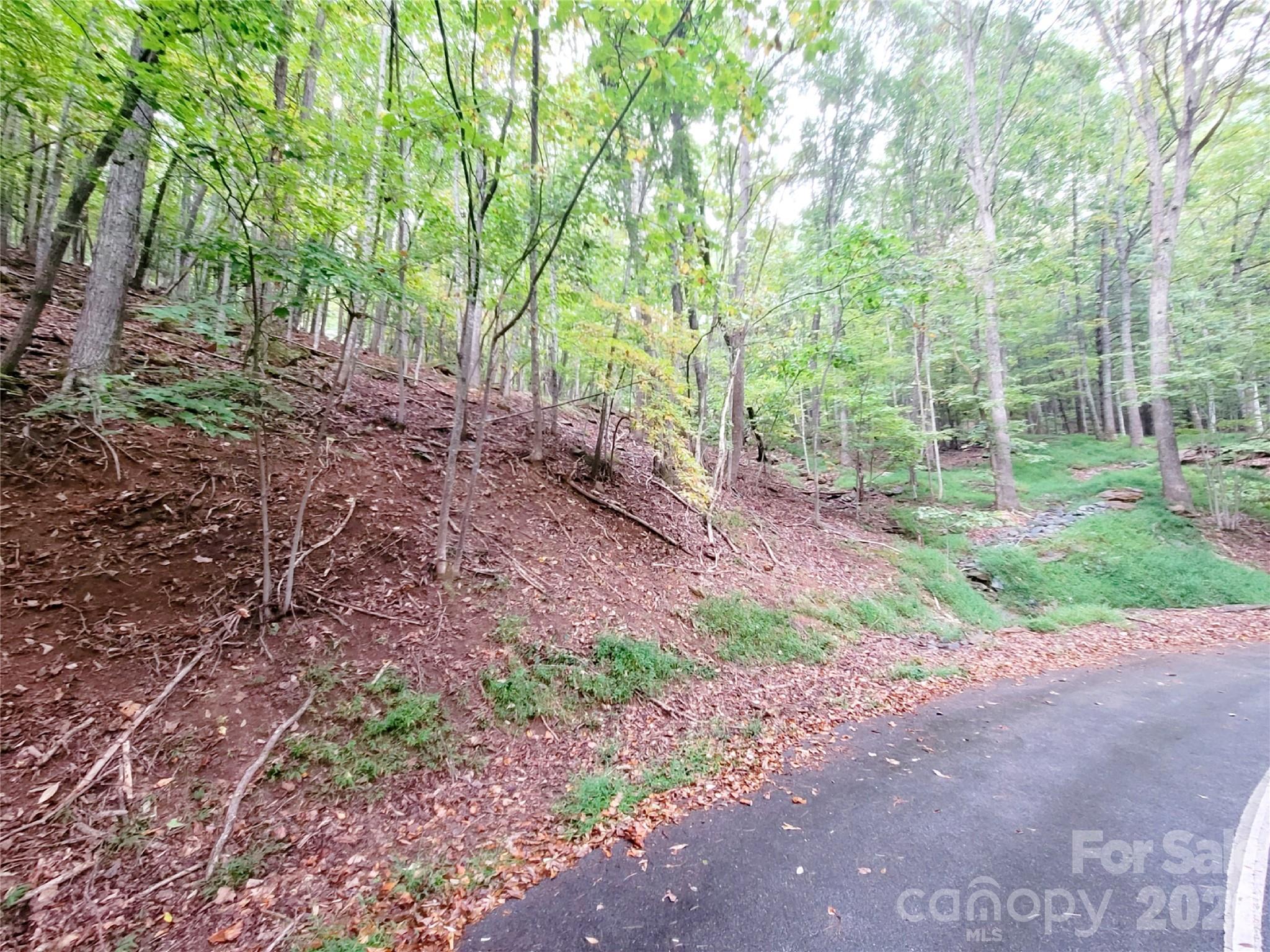 47 Sourwood Drive 197