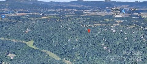 47 Sourwood Drive 197 Mills River NC 28759