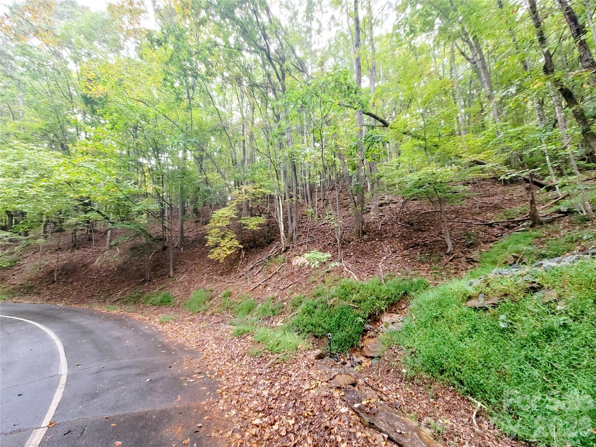 47 Sourwood Drive 197