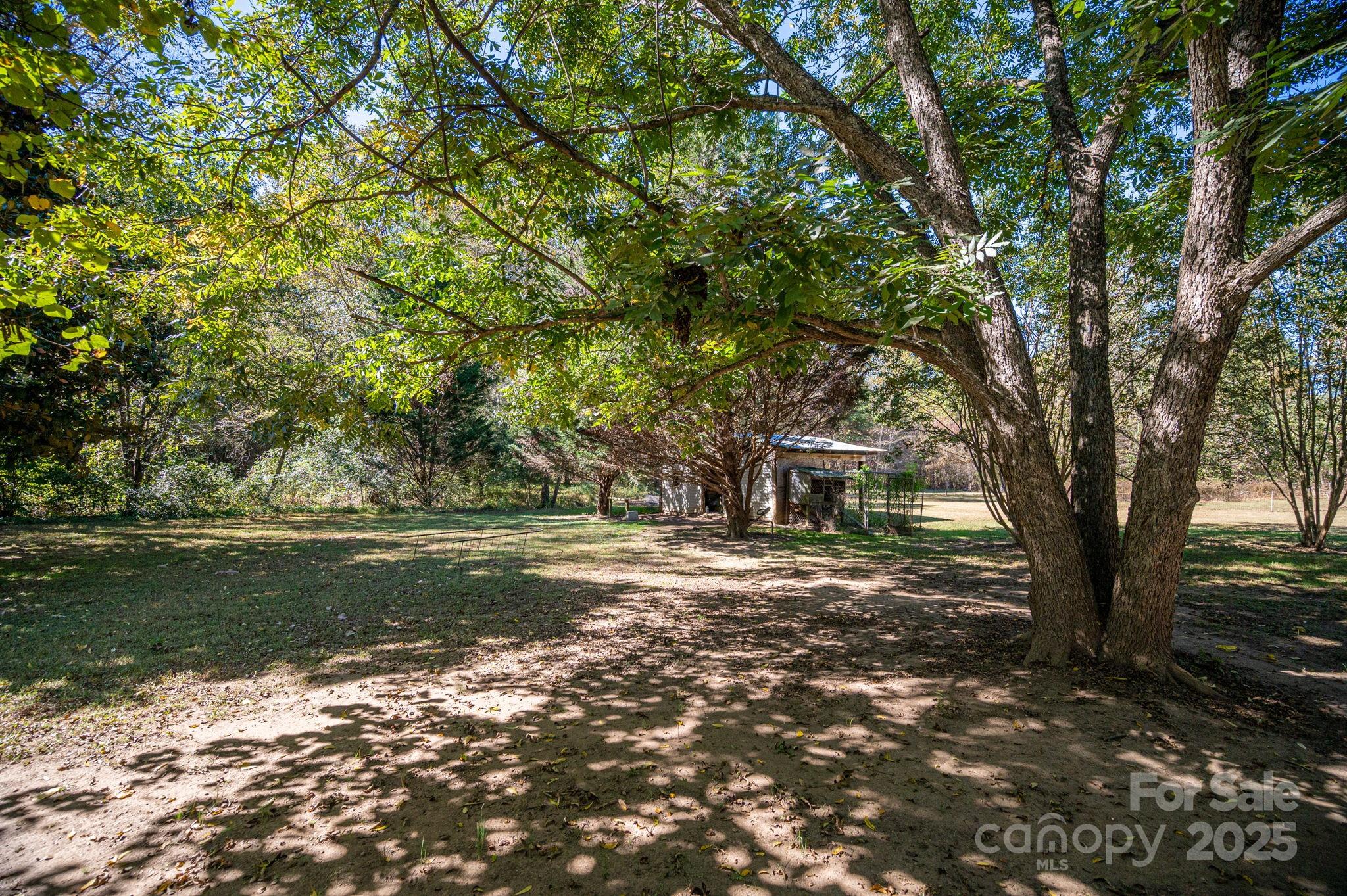 3597 Ray Danner Road