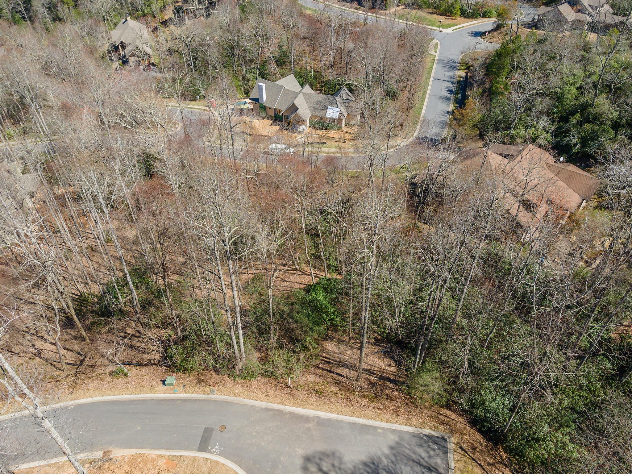 The Settings Of Black Mountain - Land